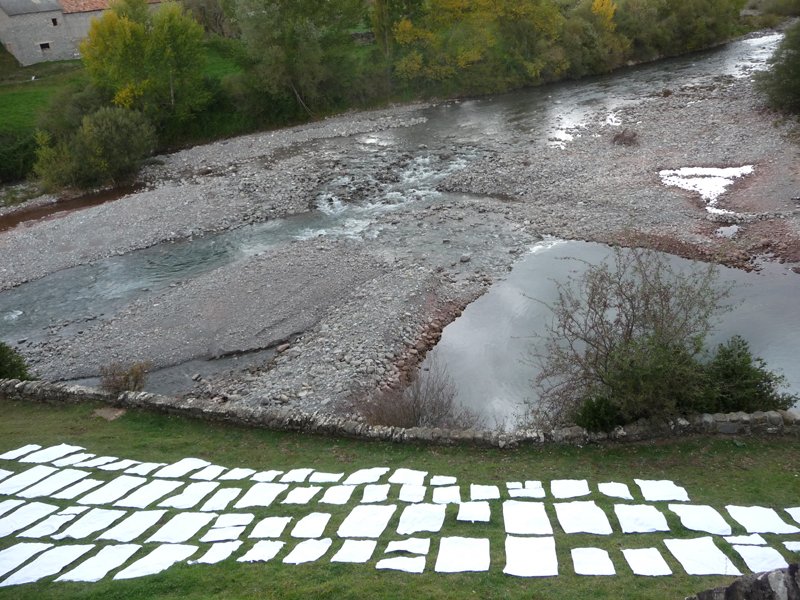 rassemblement_blanc_3.jpg